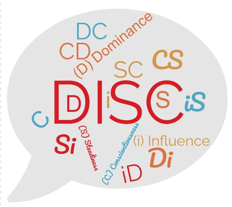 Allerede lunge længde What Are The 4 DiSC Personality Types? - cooperconsultinggroup.com