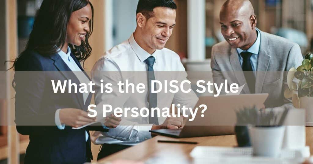 What is the DISC Style S Personality